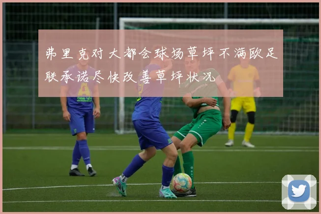 弗里克对大都会球场草坪不满欧足联承诺尽快改善草坪状况